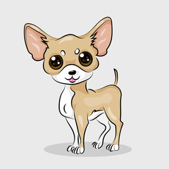cartoon cute funny vector chihuahua dog at the white background