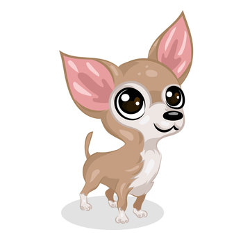cartoon cute funny vector chihuahua dog at the white background