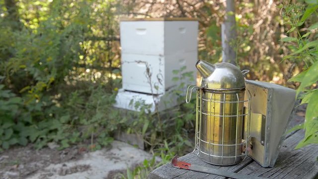 Beekeeping smoker and tools on a bench in front of an active beehive.