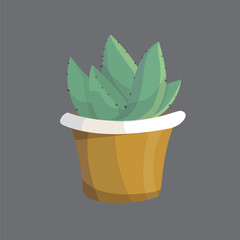 Vector flat house plant cactus cartoon illustration.