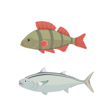 Isolated river fish. Set of freshwater sea cartoon fishes. Fauna ocean vector illustration