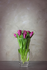 Glass vase with bouquet of beautiful tulips on color background