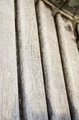 Fototapeta premium Frosty morning