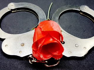 Rote Rose mit Handschellen für Liebe oder Hass oder Stalking oder Trennung oder den Valentinstag oder verbotene Liebe