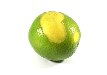 A green skinned orange with blemish
