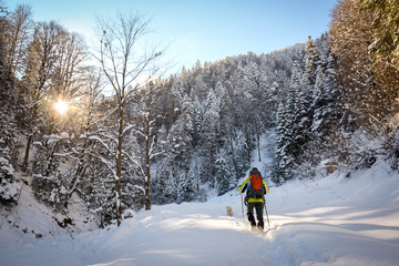 Fototapeta na wymiar A hiker walking in the forests of Fagaras in Carpathian Mountains, Europe, Winter landscape