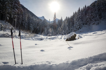 Fototapeta na wymiar Trekking poles in the snow on the mountain snowy Carpathian range background