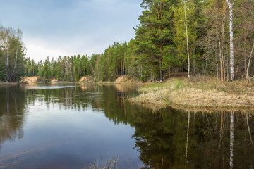 Spring. Reflection of trees in water of the river Mologa.