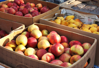 Fresh fruits in cardboard boxes on market