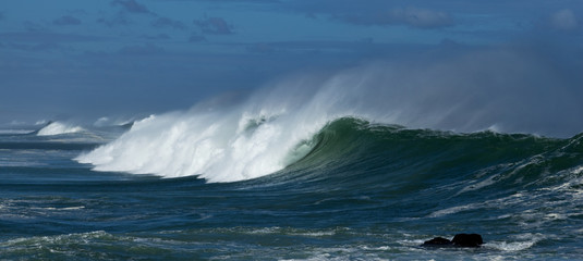 West Coast National Park, South Africa