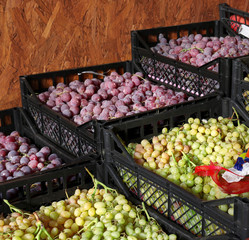 Fototapeta na wymiar Fresh grapes in plastic crates on market
