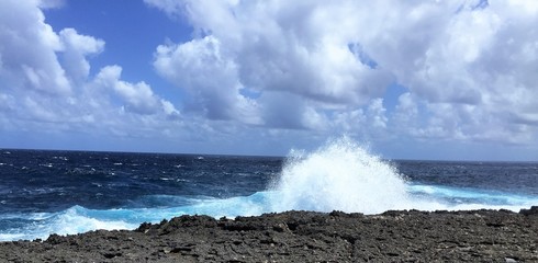 Windward side of the island of Bonaire.