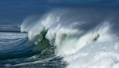 West Coast National Park, South Africa