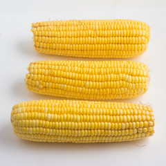 Corn Cob. Milho Verde