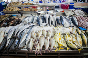 fish market abu dhabi, fish, market, fhish in ice, Shrims, seafood