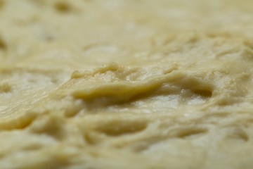 Raw yeast cake growing in bowl