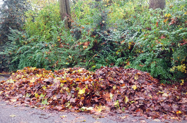 Fototapeta premium Collected leaves in the park in autumn 