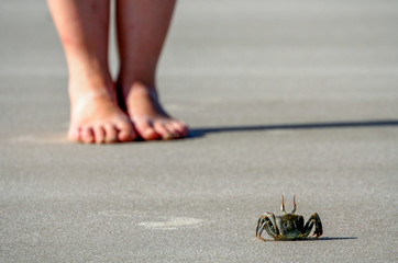 Crab against human