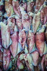 Obraz premium fish market abu dhabi, fish, market, fhish in ice, Shrims, seafo