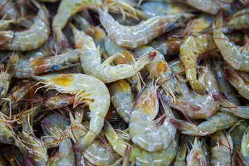 fish market abu dhabi, fish, market, fhish in ice, Shrims, seafo