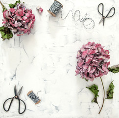 Flat lay hortensia flowers scissors marble background