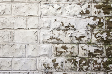 White Wall with Peeling Paint