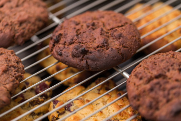 baked chocolate cookies laying on a rack