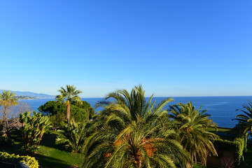 Fototapeta na wymiar Halbinsel Le Rocher im Fürstentum Monaco