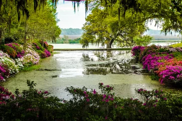 Zelfklevend Fotobehang Magnolia Plantation & Gardens 6 © anwin