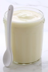 plain french style yogurt