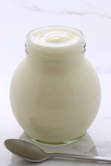 plain french style yogurt