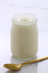 plain french style yogurt
