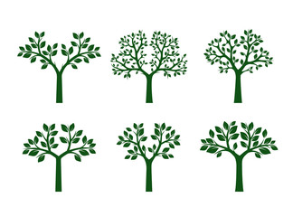 Collection of Green Trees. Vector Illustration.