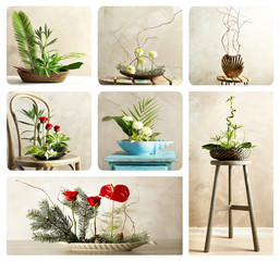 Collage of creative floral compositions