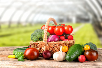 Fresh vegetables on wooden table against greenhouse background
