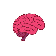 Flat Design Of Brain On Side View