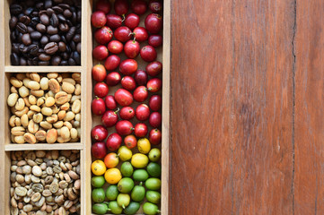 Coffee beans and fresh berries beans background