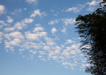 Obraz premium 秋の空