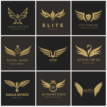 Elite logo sale
