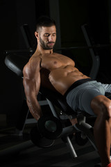 Fototapeta na wymiar Muscular Man Exercising Biceps With Dumbbell