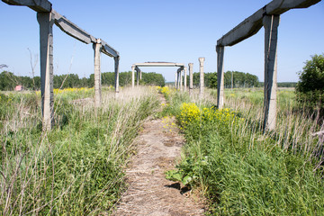 Old concrete structures in the green grass