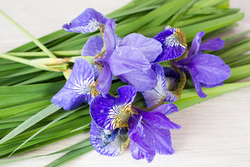 Purple iris flowers on the table