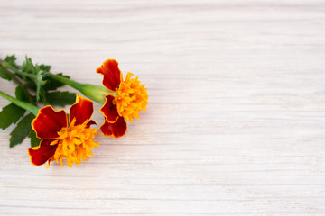 Marigold flowers on a wooden table