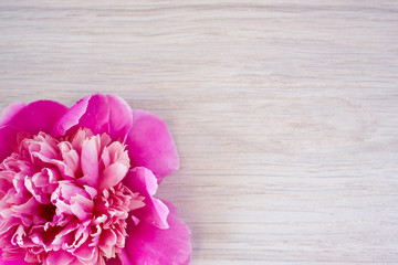 Pink flowers of peonies on wooden table