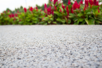The sidewalk along flower beds