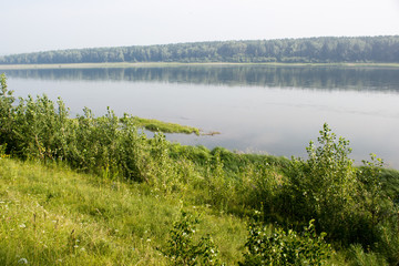 A view of the water through the grass