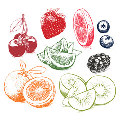 Hand drawn collection of fruits. Orange vector illustration, Clip art