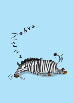 Cute Zebra Vector Illustration