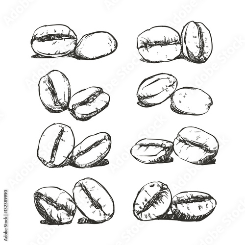Coffee Bean Hand Drawn Vector Sketch Clip Art Coffee Bean Hand Drawn Vector Sketch Clip Art