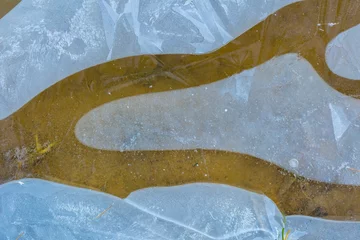 Behangcirkel Ice on water texture. © milosz_g